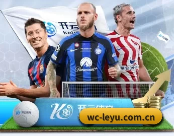 wc-leyu.com.cn的故事